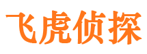 远安市婚姻调查